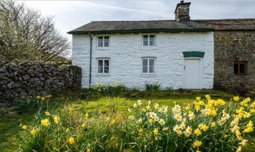 Investment Opportunity in Llandrindod Wells photo